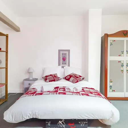 Travel Homes -The Cigogne, Quiet & Heart Of Colmar-3