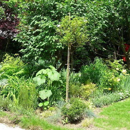 Chambre d'hôtes sur jardin acces PMR-3