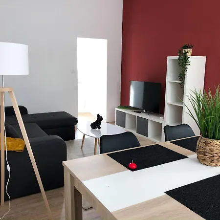 Grand appartement fonctionnel proche centre-ville-3