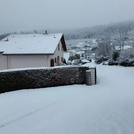 Gerardmer Lac Et Montagne-2