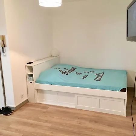 Chaleureux Appartement En Centre Ville De Poitiers-3