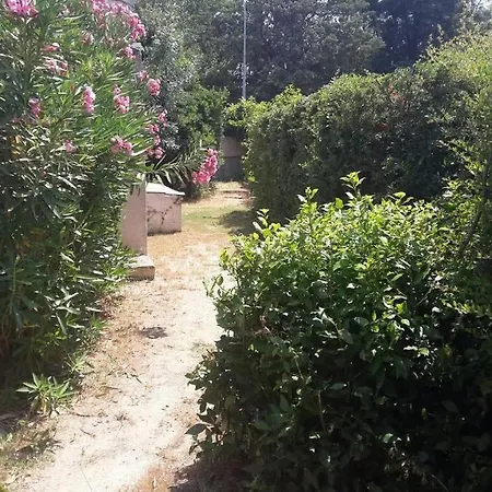 jolie villa avec piscine-3