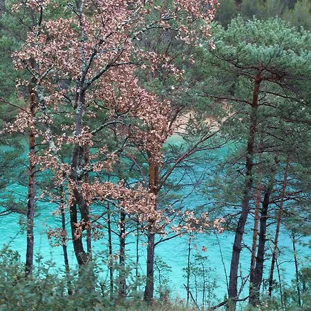 Appartement du lac-3
