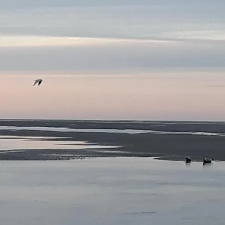 Vue exceptionnelle sur la Baie de Somme-2