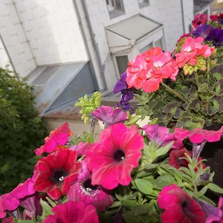 Appartement de standing-2