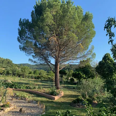 Chambre d'hôtes Le Cèdre-2