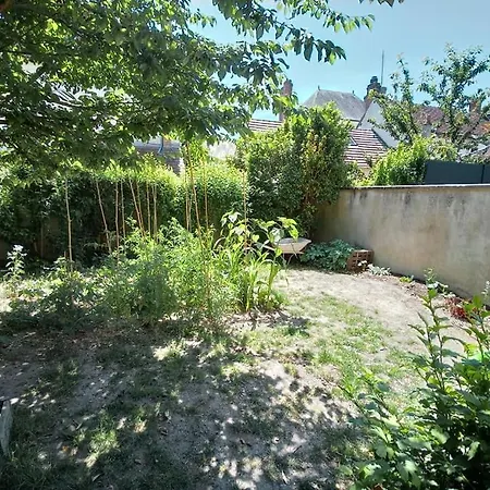 Gîte OZOO-2