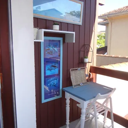 Studio Ocean Avec Terrasse Coeur De Ville-2