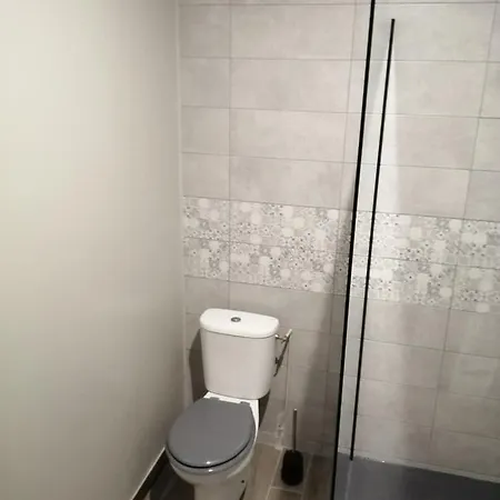 Charmant Appartement Muret Centre-2