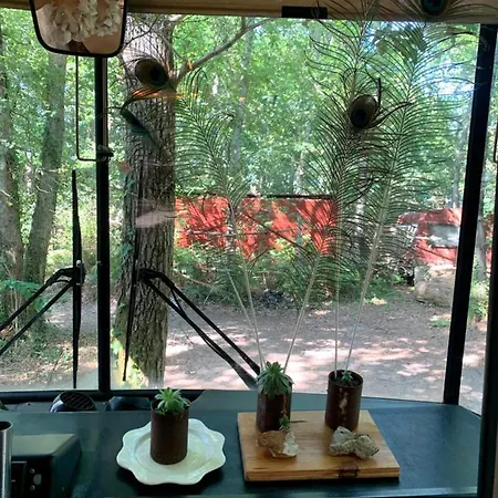 Magic Roof Top Bus With Big Bath In The Tree Forest!-3