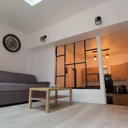 Cosy Appartement Hyper Centre Ville Avec Cour + Patio-2