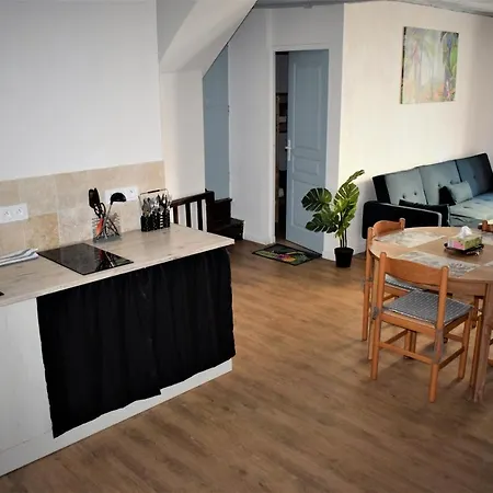 Gite Le Nid des Zoo Zio, 5mn Beauval, appartement terrasse centre-ville-2