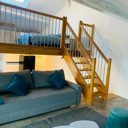 Loft 60M2 2-4 Personnes Avec Garage Et Wifi 3 Rue St Joseph St Etienne Proche Centre-Ville-3
