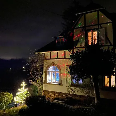 La Dependance de la Villa des Oiseaux - La Petite Pierre-2