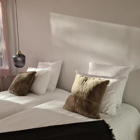 La Maison, 4 appartements 3 étoiles climatisés au centre ville avec jardin proche du Parc et des Thermes-3