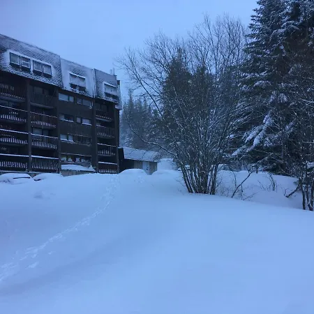 Appartement chalet Bellevue-pied de la montagne - Mont Dore-3