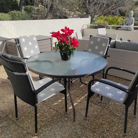 2 Pieces Avec Grande Terrasse-3