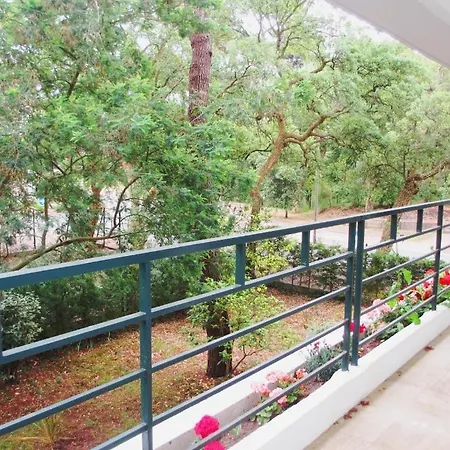 Appartement Pour 4 Personnes- Residence Sporting House-2