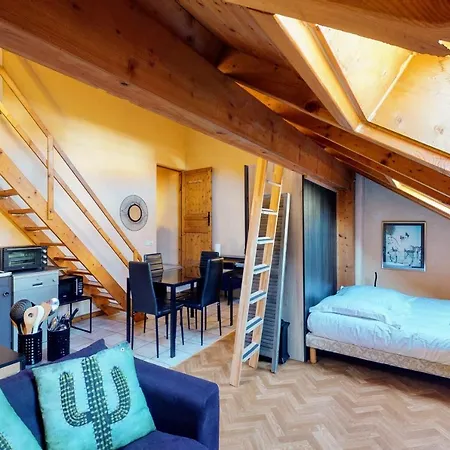 Duplex Cactus 4 People In The Centre Of Annecy 100 Meters From The Lake-3