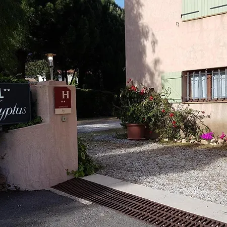 Hôtel les Eucalyptus-2