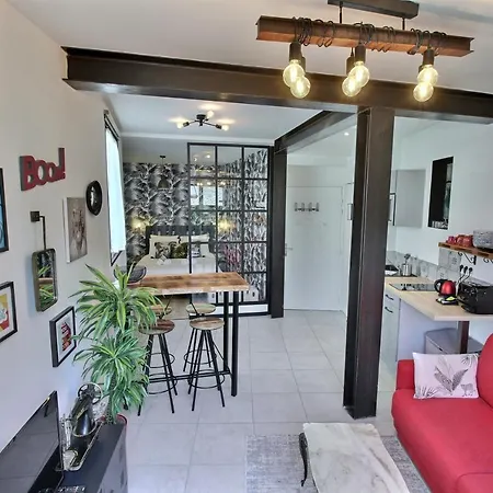 Appartement Centre-Ville Avec Terrasse Indus-3