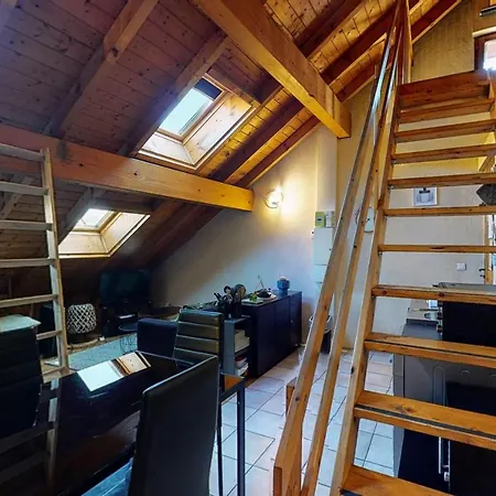 Duplex Cactus 4 People In The Centre Of Annecy 100 Meters From The Lake-2