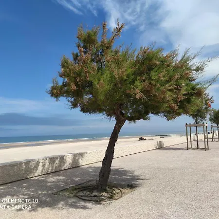 Soulac Côté Plage - Devant l'océan-2