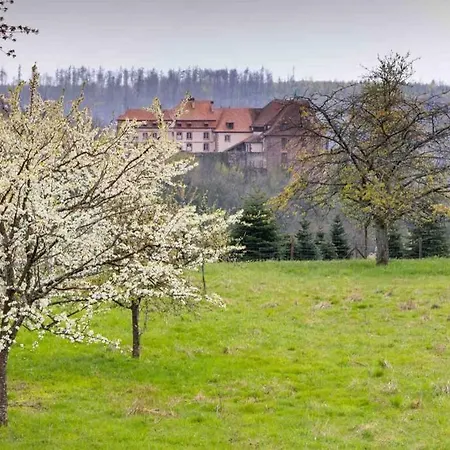 Maison Privilège Nature à La Petite Pierre-3