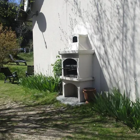 Le colibri-3