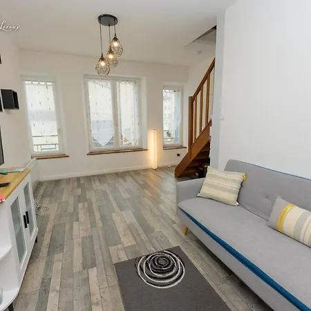 Agreable et moderne appartement Toul centre-3