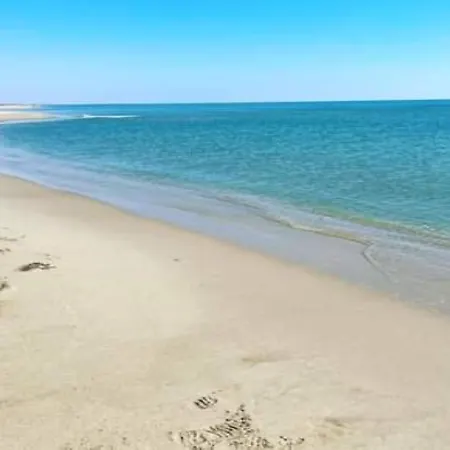 les terrasses de la mer-3