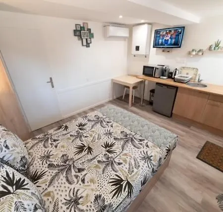 Studio Green Proche De Lyon-3