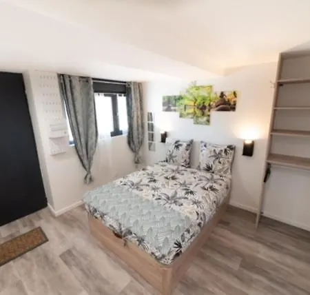Studio Green Proche De Lyon-2