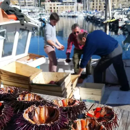 200m de la plage ,3mn du port à 50m du centre ville-2