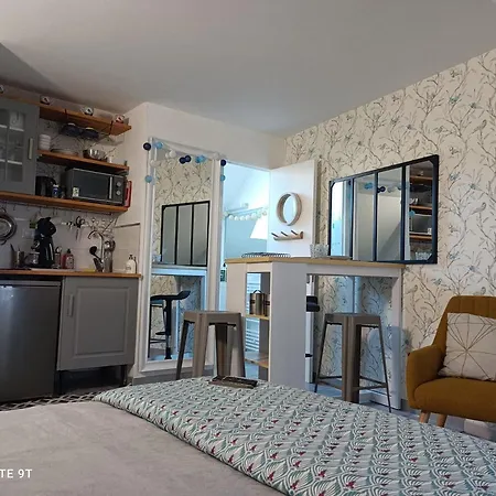 Tres Beau Studio Climatisation, Trois Etoiles, Parking A Velo, Velos En Option, Parking Prive Jardin-3