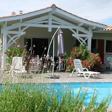 Villa Zen-3