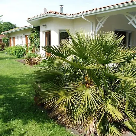 Villa Zen-2