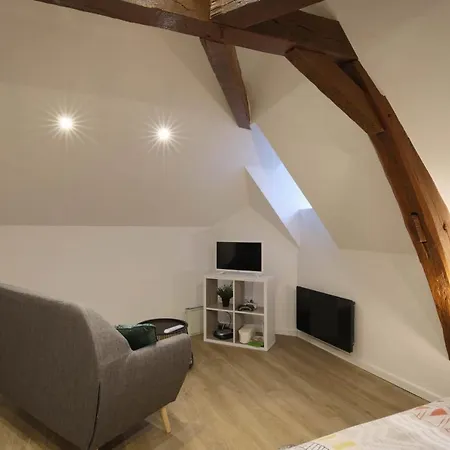 Studio neuf cosy La flèche-3