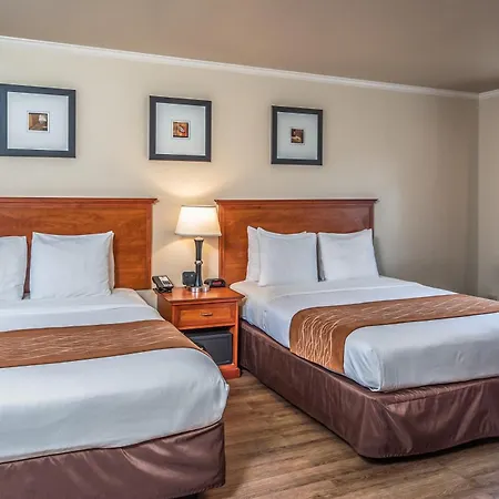 The Inn At 1252 Monterey-2