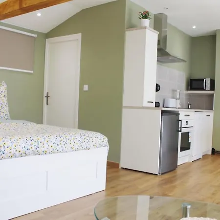 Saint Etienne : appartement Châteaucreux 40 M2-2