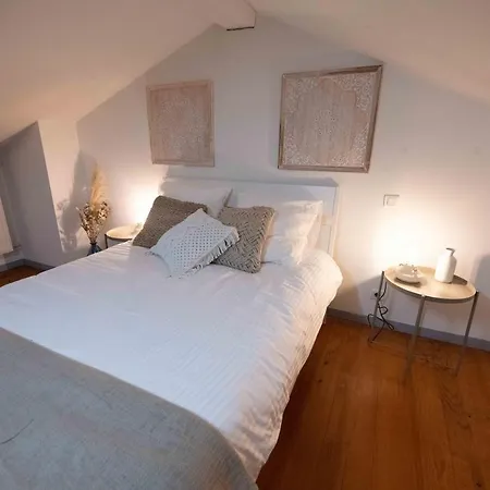 Duplex Typique Centre Bayonne-2