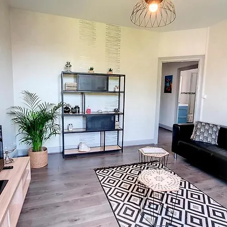 Appartement F2 Refait A Neuf Tout Confort-2