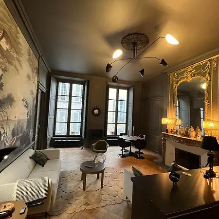 Luxueux 2 pièces 65m2 Hôtel Particulier XVII ième siècle-Centre Historique Clermont-Ferrand-2