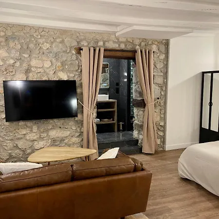 La loge de pierre au coeur de la vieille ville d Annecy-3