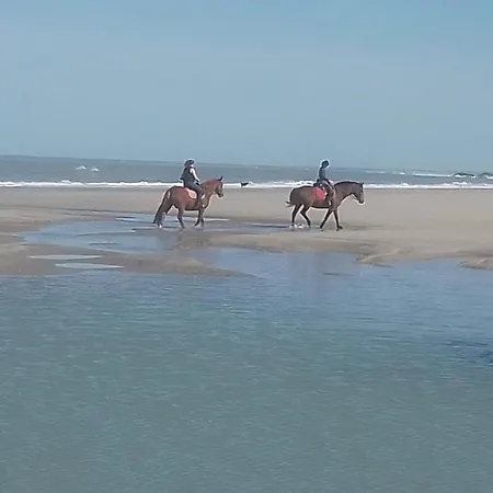 Location Bord Plage-3