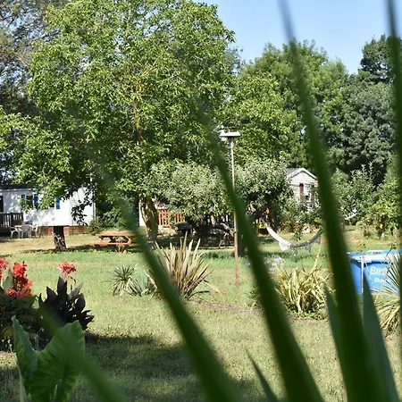 mobil-home sur terrain bucolique-3