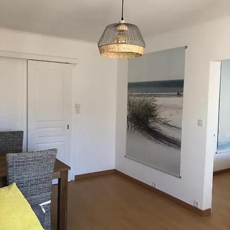 DEMOISELLES - Appartement 1 chambre-3