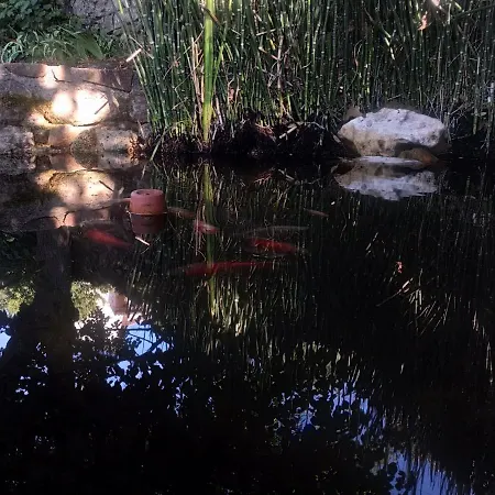 Les Jardins d'Arbousse-3