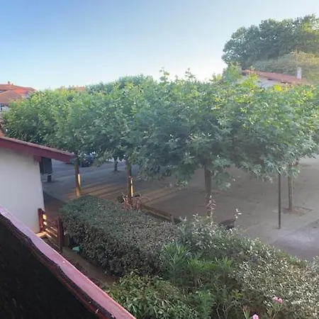 Le Green-Center, 2 pièces en Hyper Centre-2