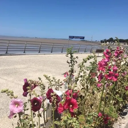 Le Petit Paradis En Bord De Mer Fouras Les Bains-3
